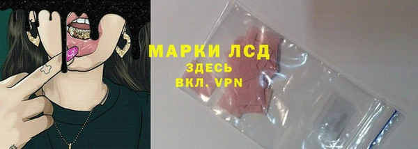 спайс Арсеньев