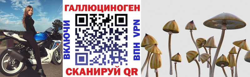 Купить закладки  Славгород  Псилоцибиновые грибы Cubensis 